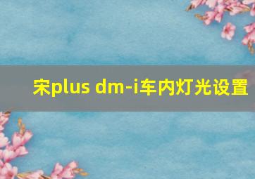 宋plus dm-i车内灯光设置